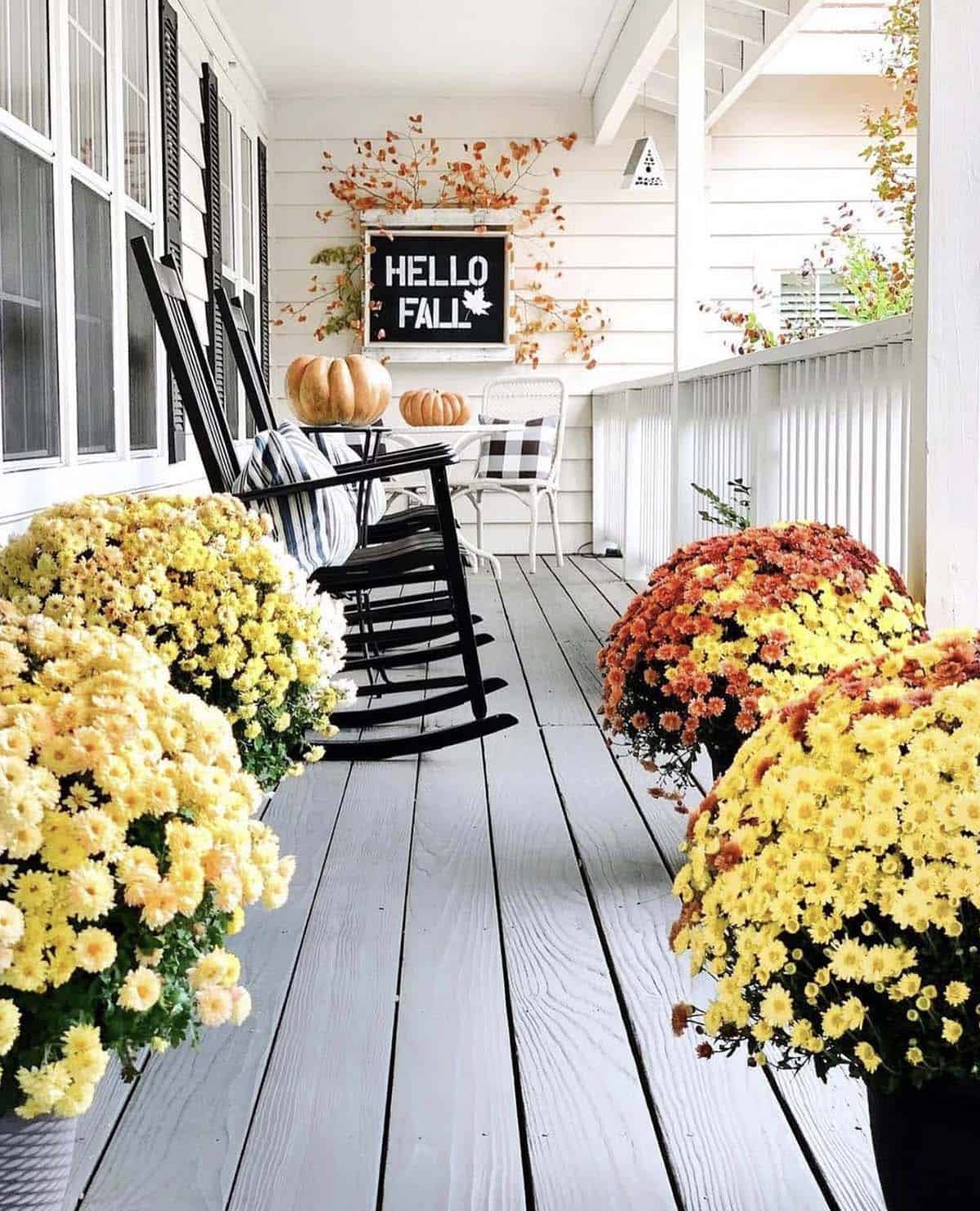 Farmhouse front porch lined with mums and a Hello Fall sign