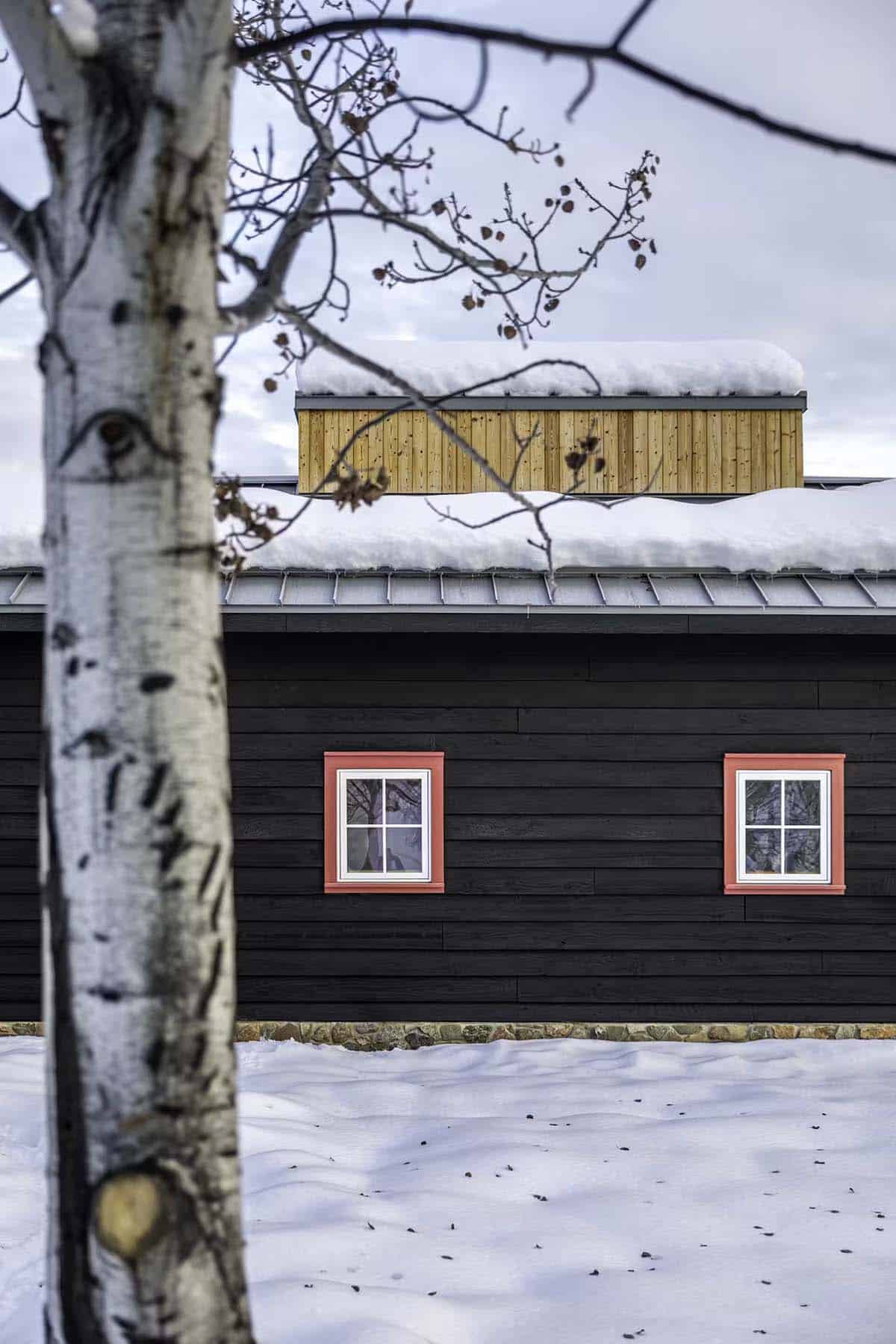 Exterior detail of black siding with coral-trimmed windows and birch tree
