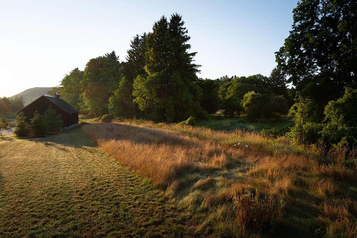 Golden hour view of black garage pavilion across meadow of tall grasses