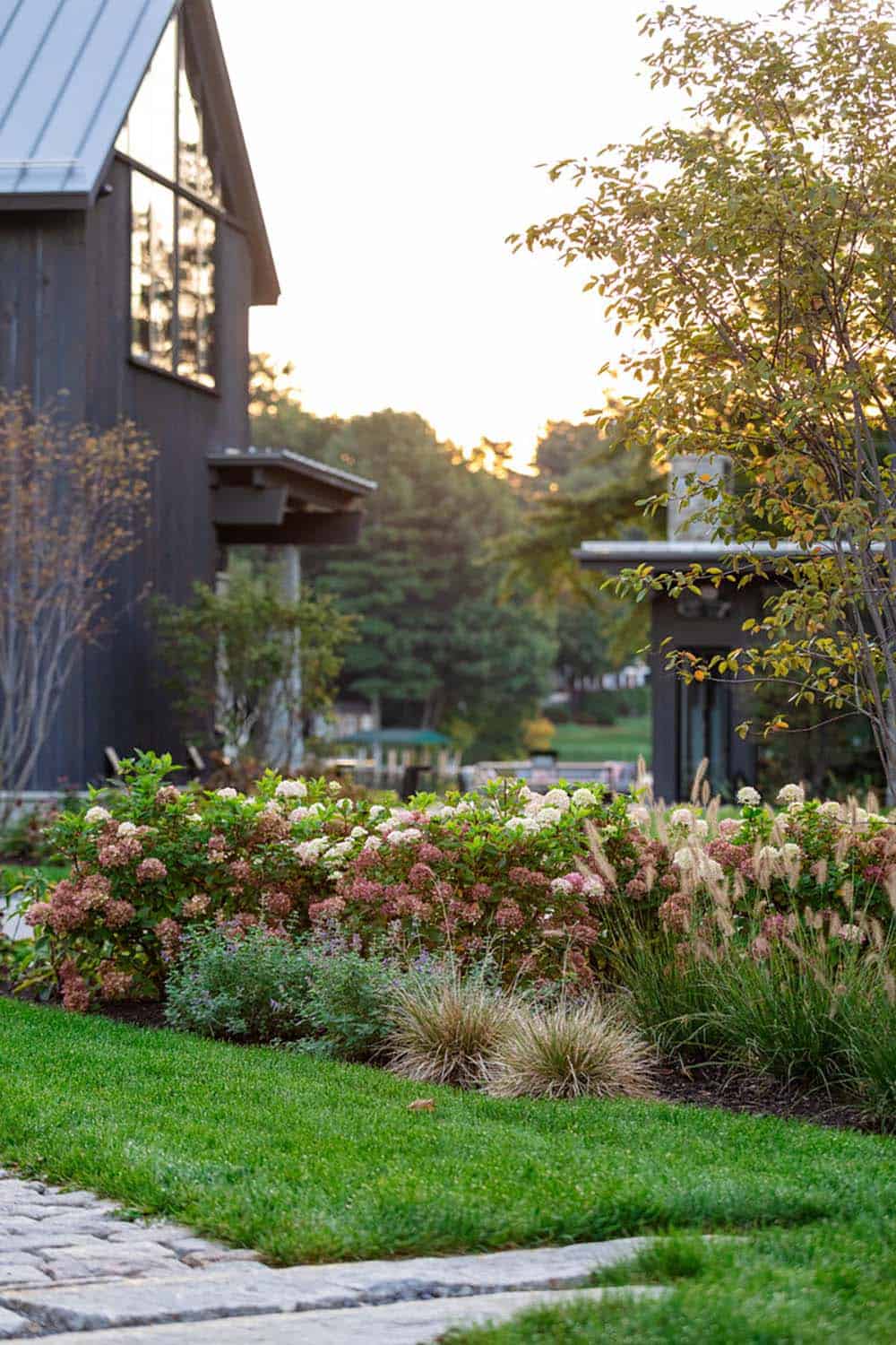 Garden bed detail with hydrangeas and ornamental grasses