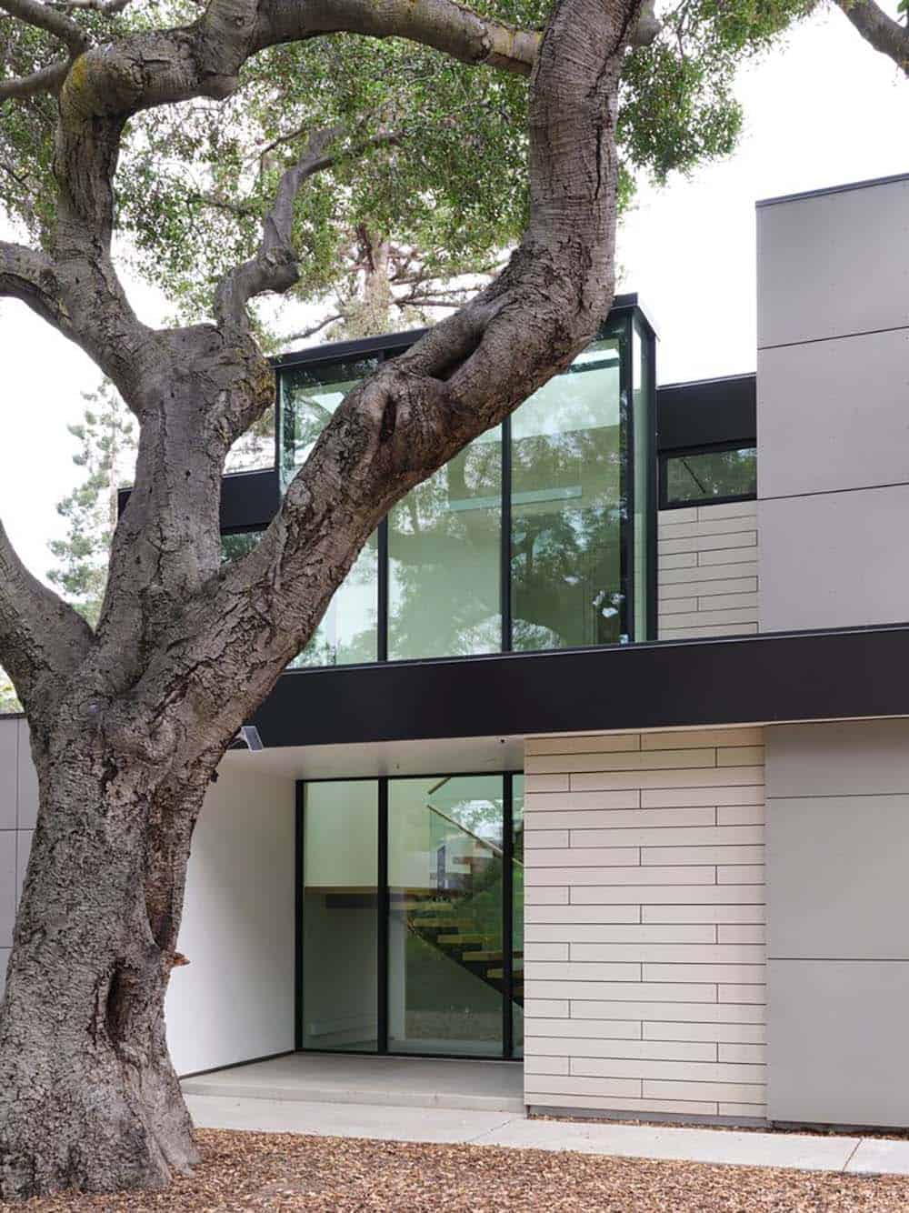 Glass lantern and cementitious siding detail viewed through oak tree branches