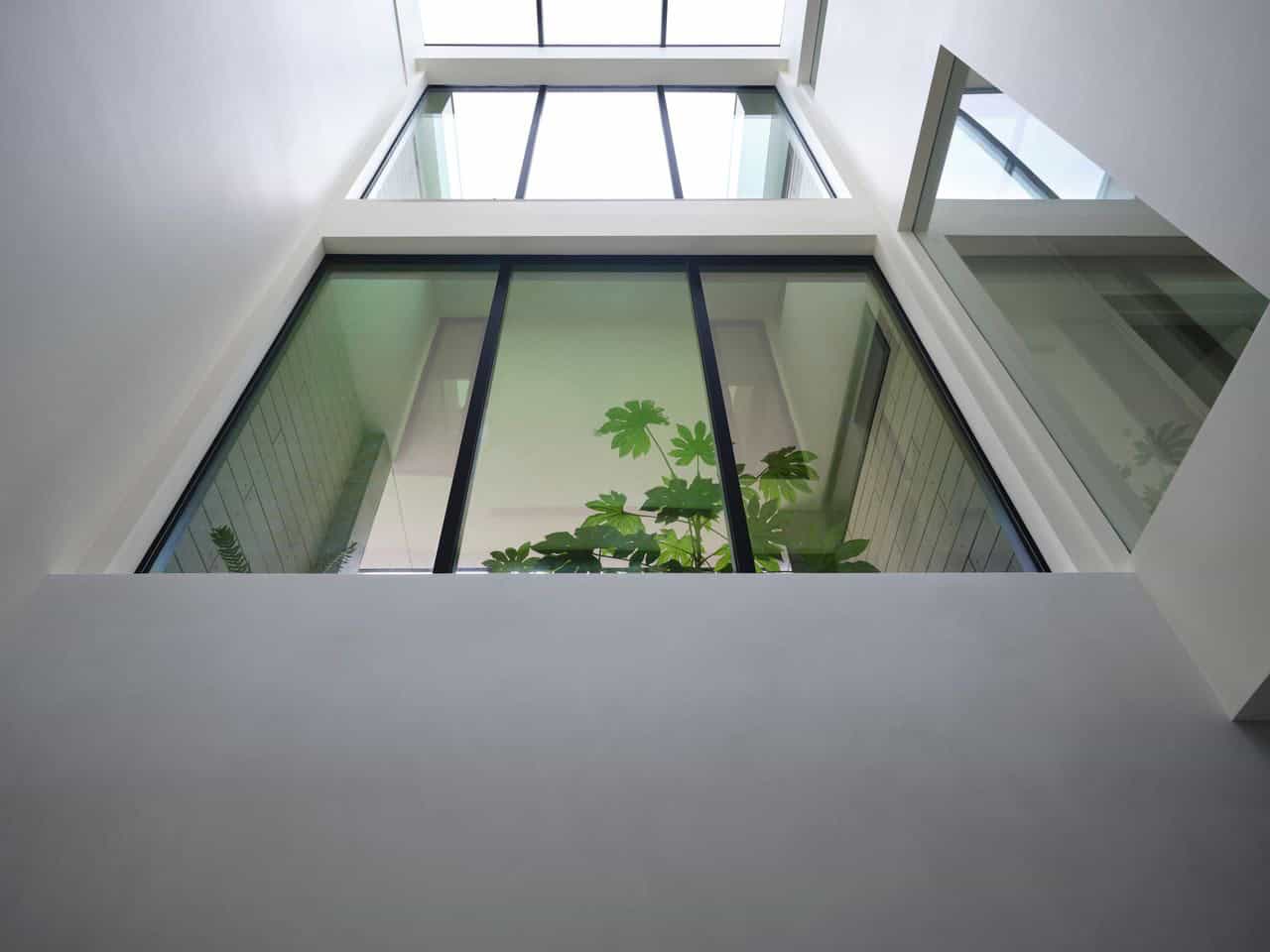 Upward view of the glass light well with skylight and interior greenery
