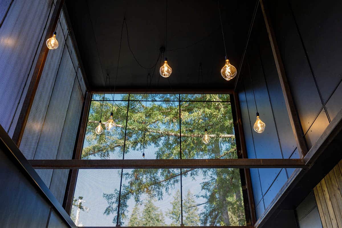 Pendant bulbs hang beneath dark screened porch overlooking cedar trees