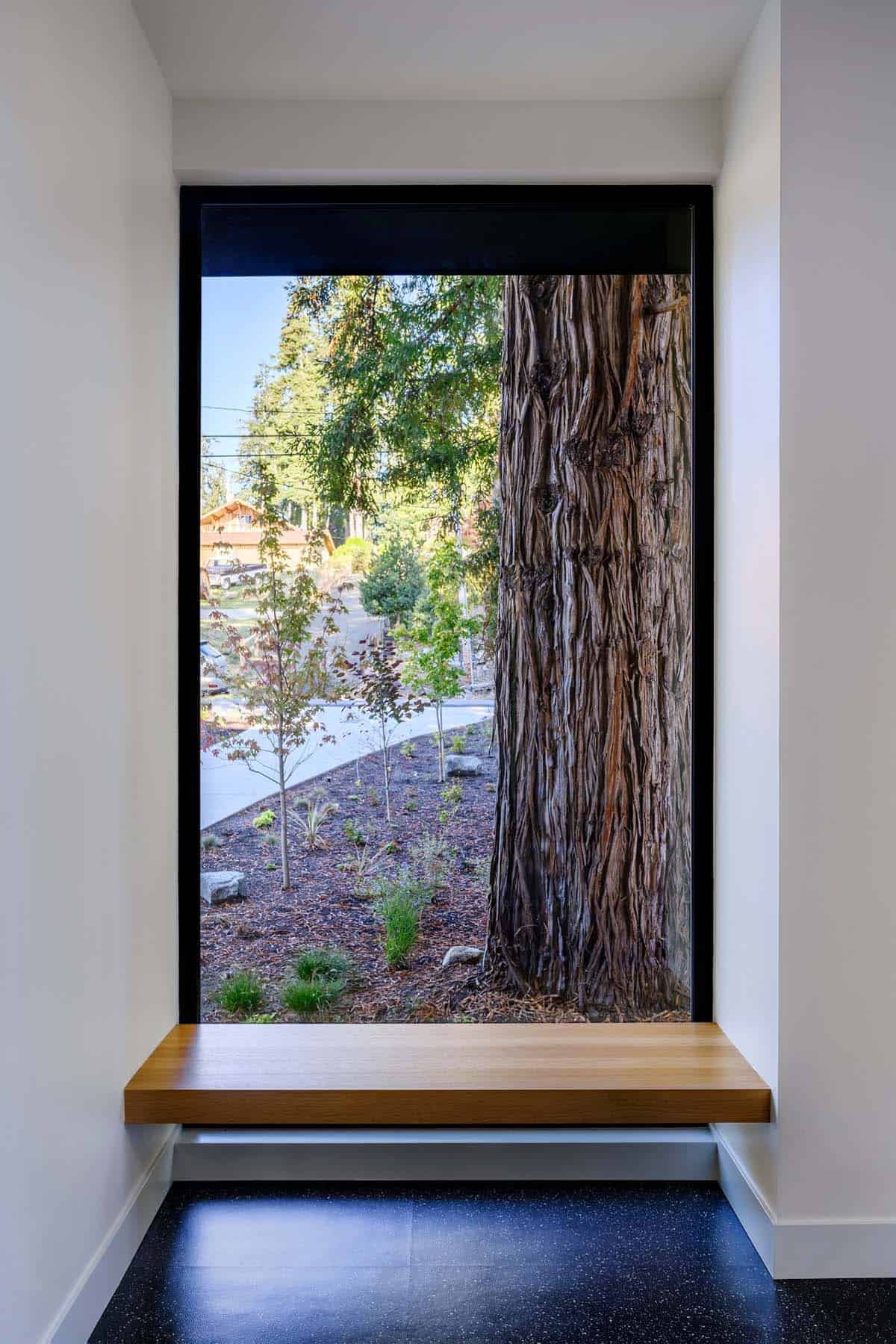 Window nook bench frames massive cedar trunk and garden view