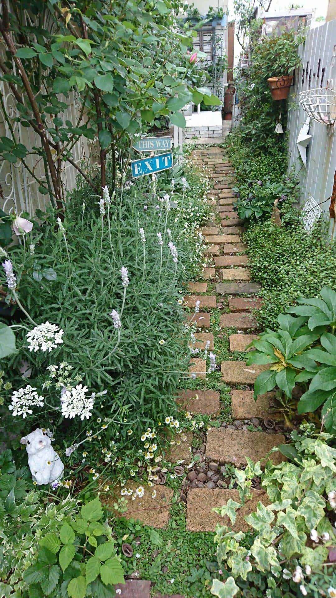 Narrow brick stepping path lined with lavender and cottage garden flowers, leading past a "This Way / Exit" sign
