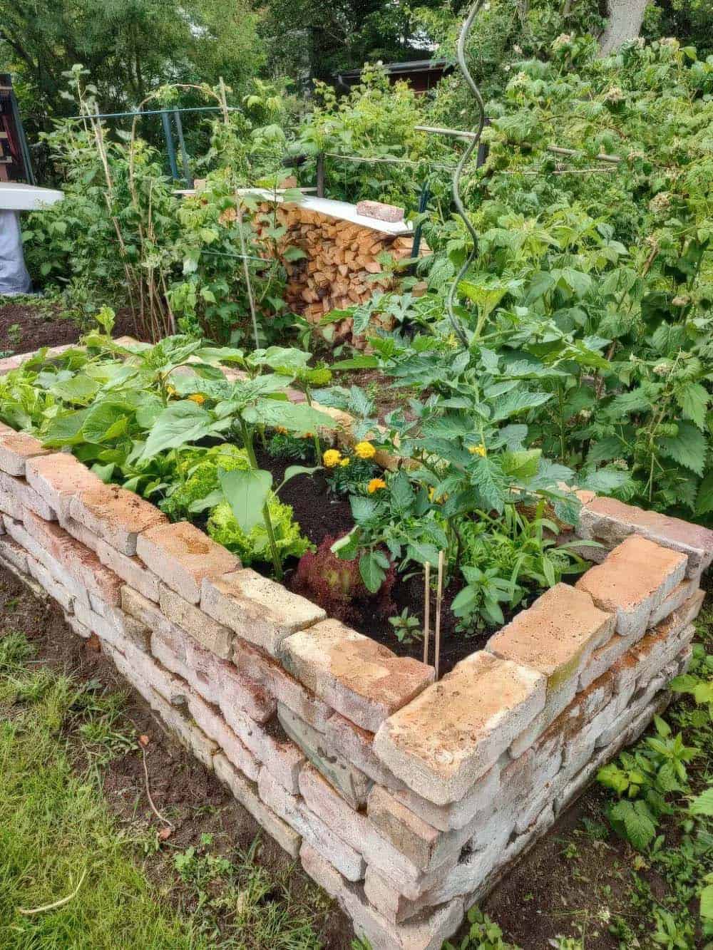 Tall raised bed built from reclaimed brick, filled with lettuce, marigolds, and tomato plants