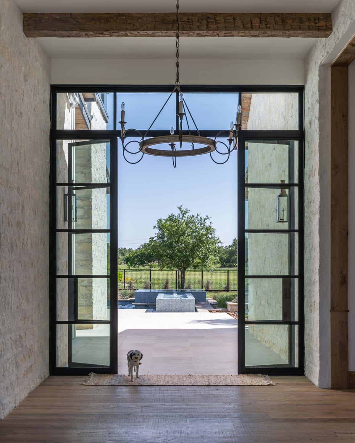 Steel and glass doors opening to the pool courtyard with a dog