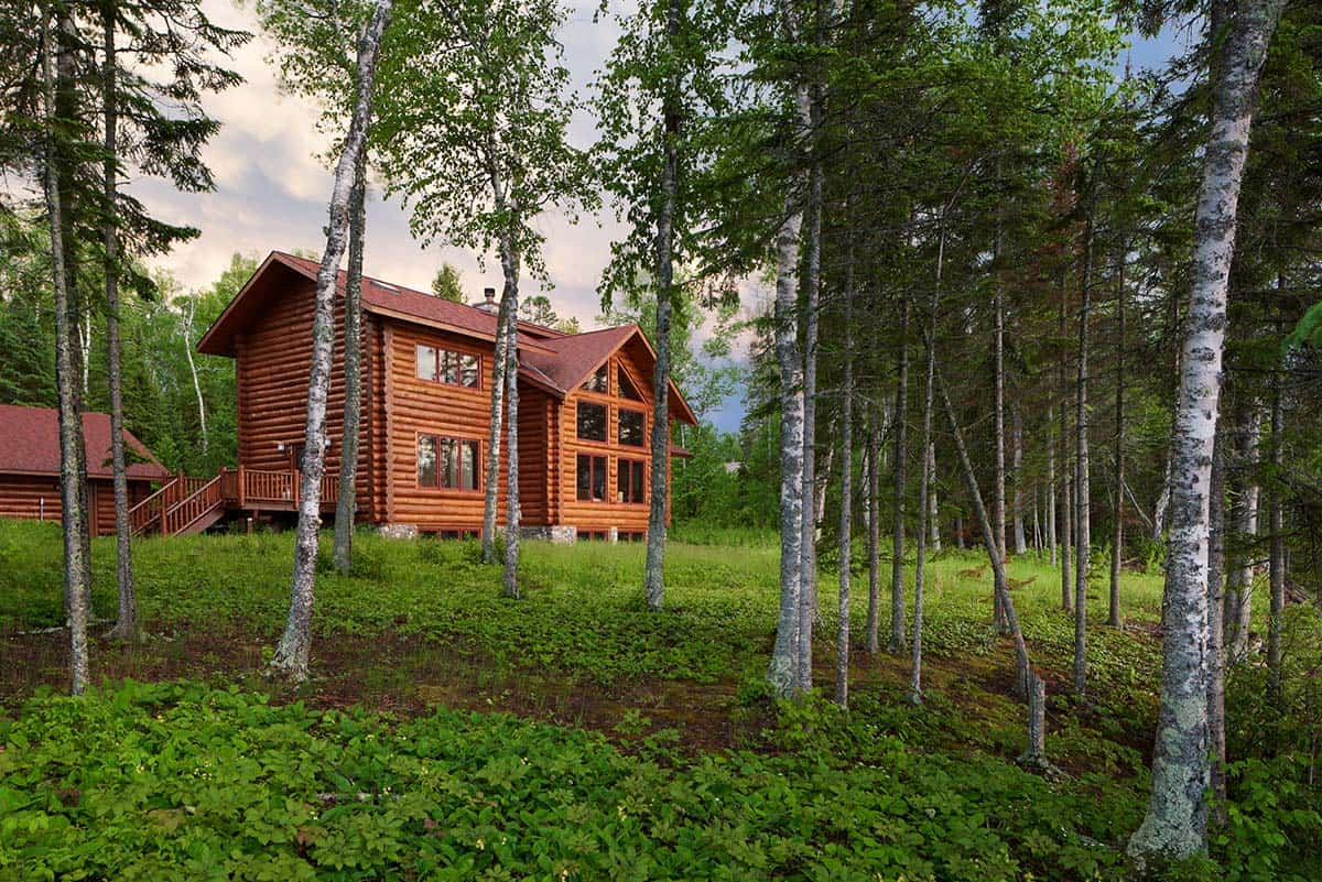 Log cabin exterior seen through birch trees on a green forested hillside