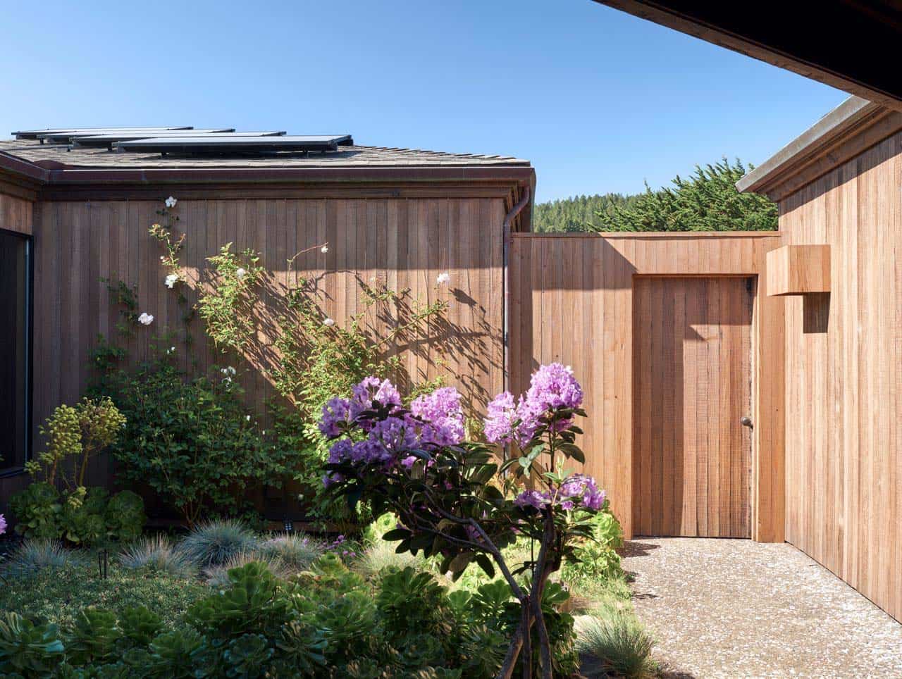 Garden courtyard with rhododendrons and cedar-clad exterior wall