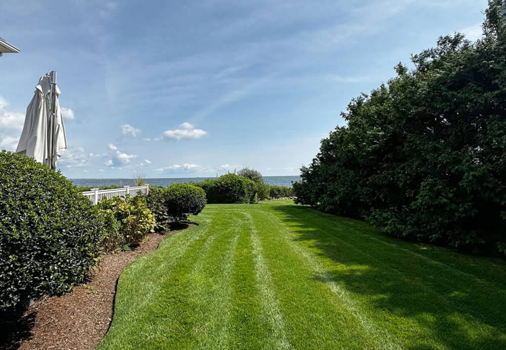 Backyard lawn leading to ocean view before renovation