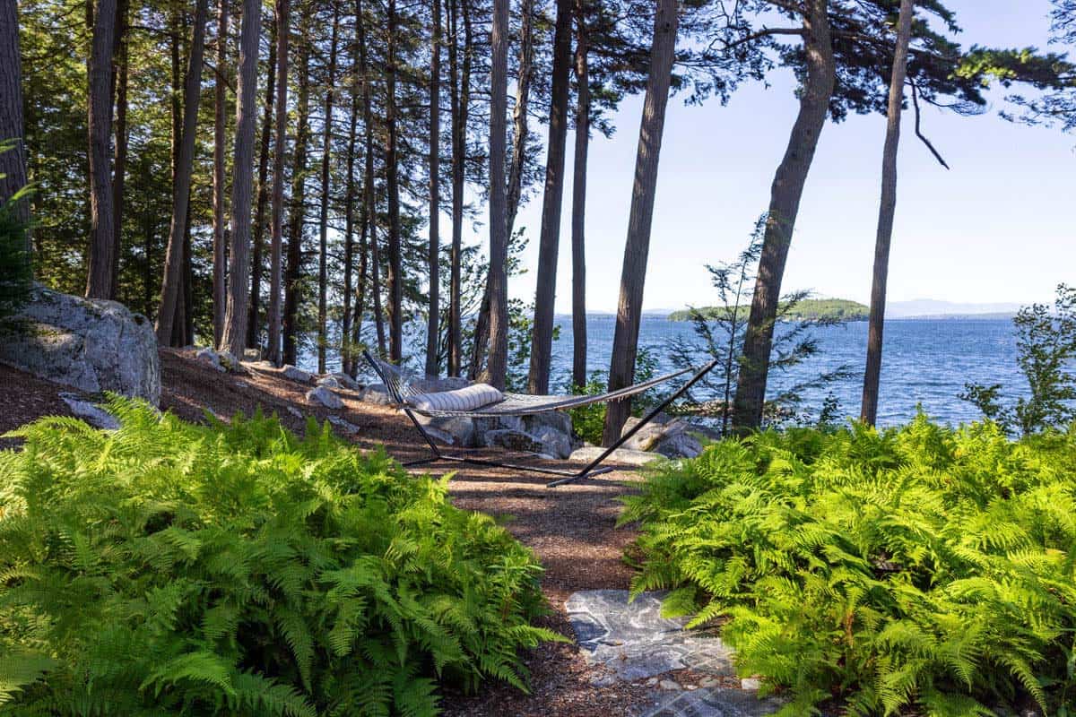 Hammock tucked among ferns and tall pines with lake views