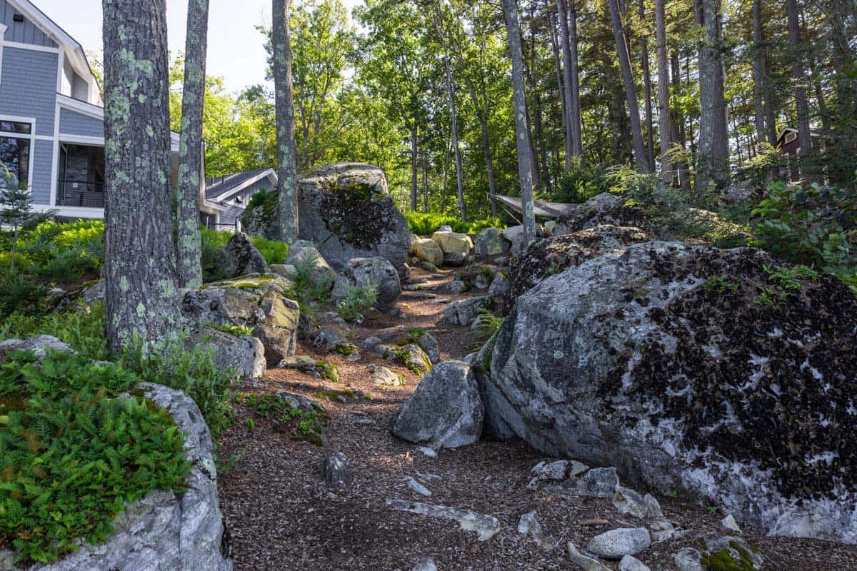 Boulder-lined woodland path beside the cottage with mulch and ferns