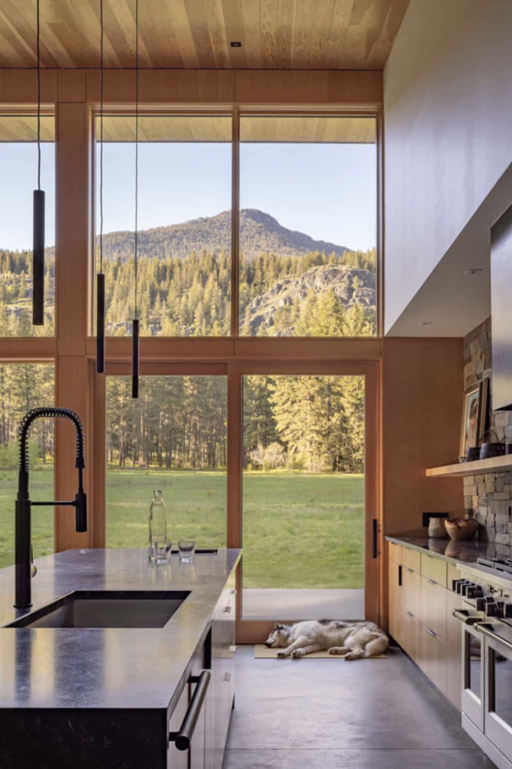 Kitchen sink area with mountain view and dog resting by door