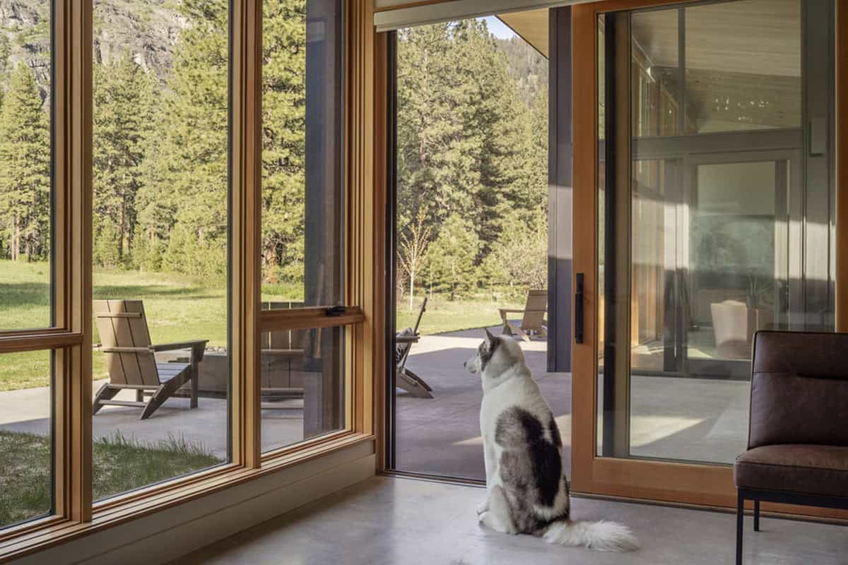 Dog looking out glass doors toward patio and meadow