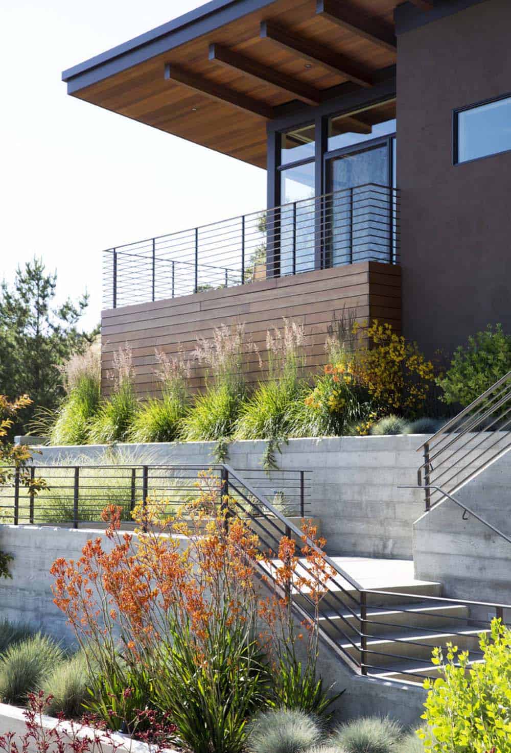 Concrete stairway climbs past kangaroo paw plantings toward wood-clad upper balcony