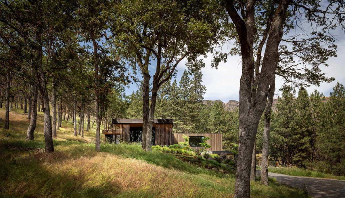 Modern cedar-clad home nestled among oak and pine trees on a hillside