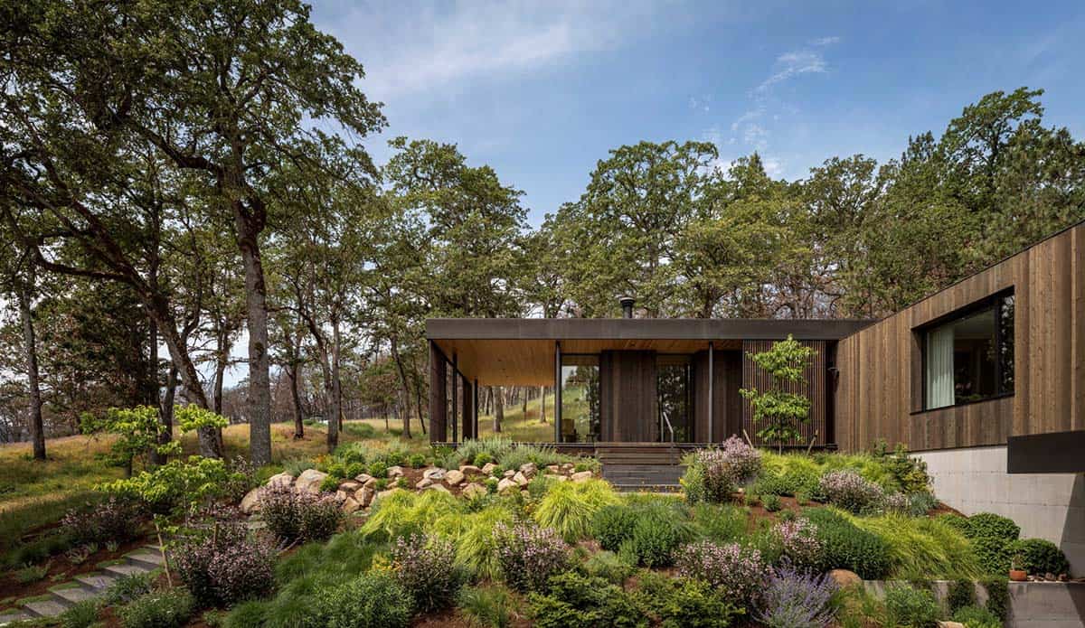 Hillside garden with boulders and grasses leading up to the modern home