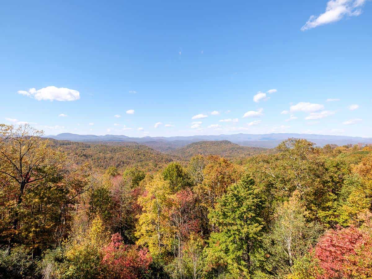 Panoramic Blue Ridge Mountains view with autumn tree canopy