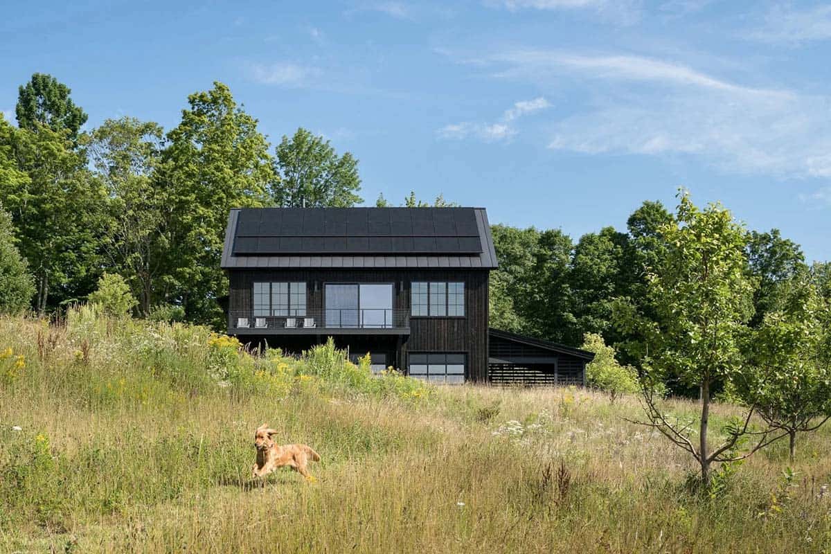 Black barn house exterior in a wildflower meadow with dog