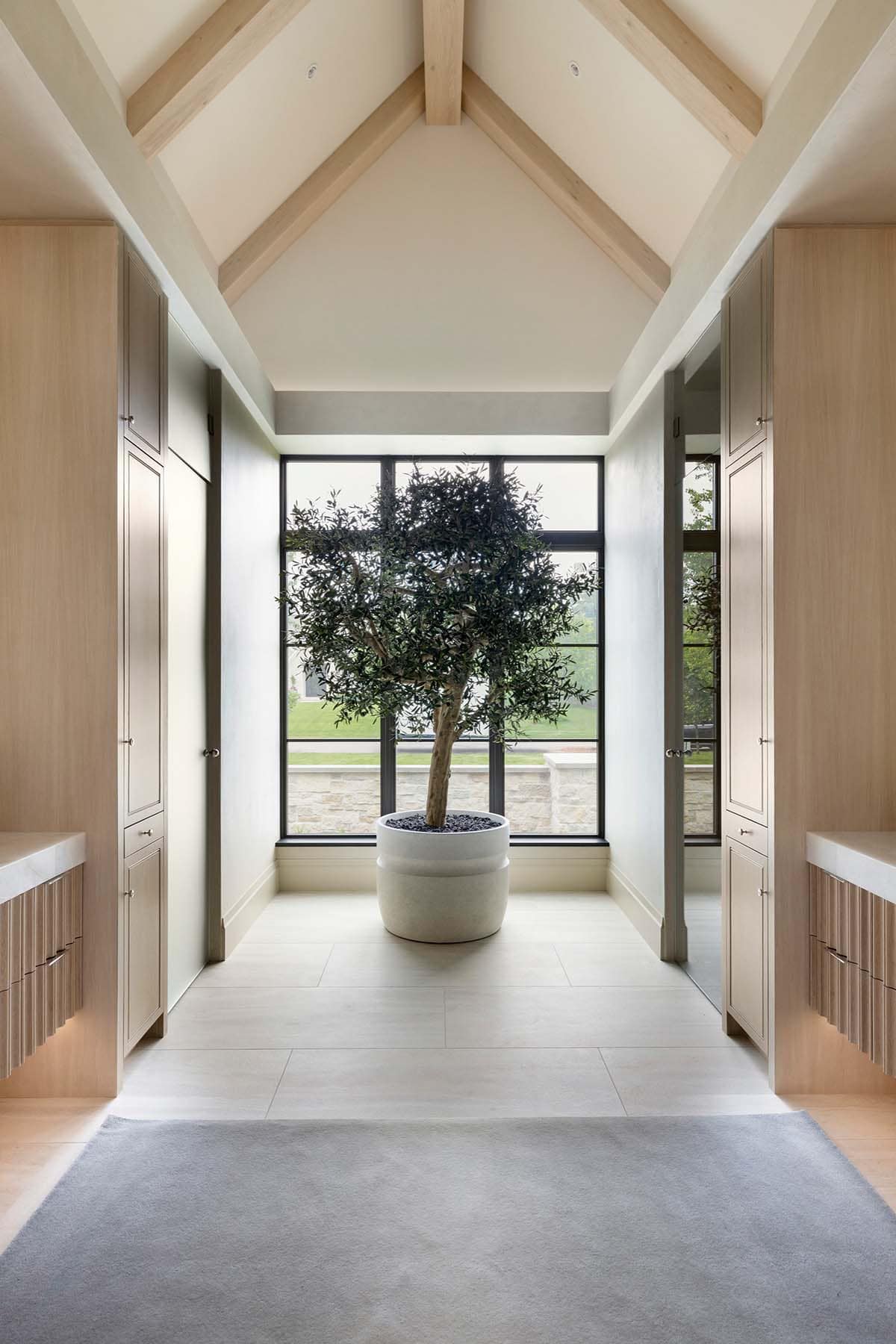 Vaulted hallway with potted olive tree and black windows