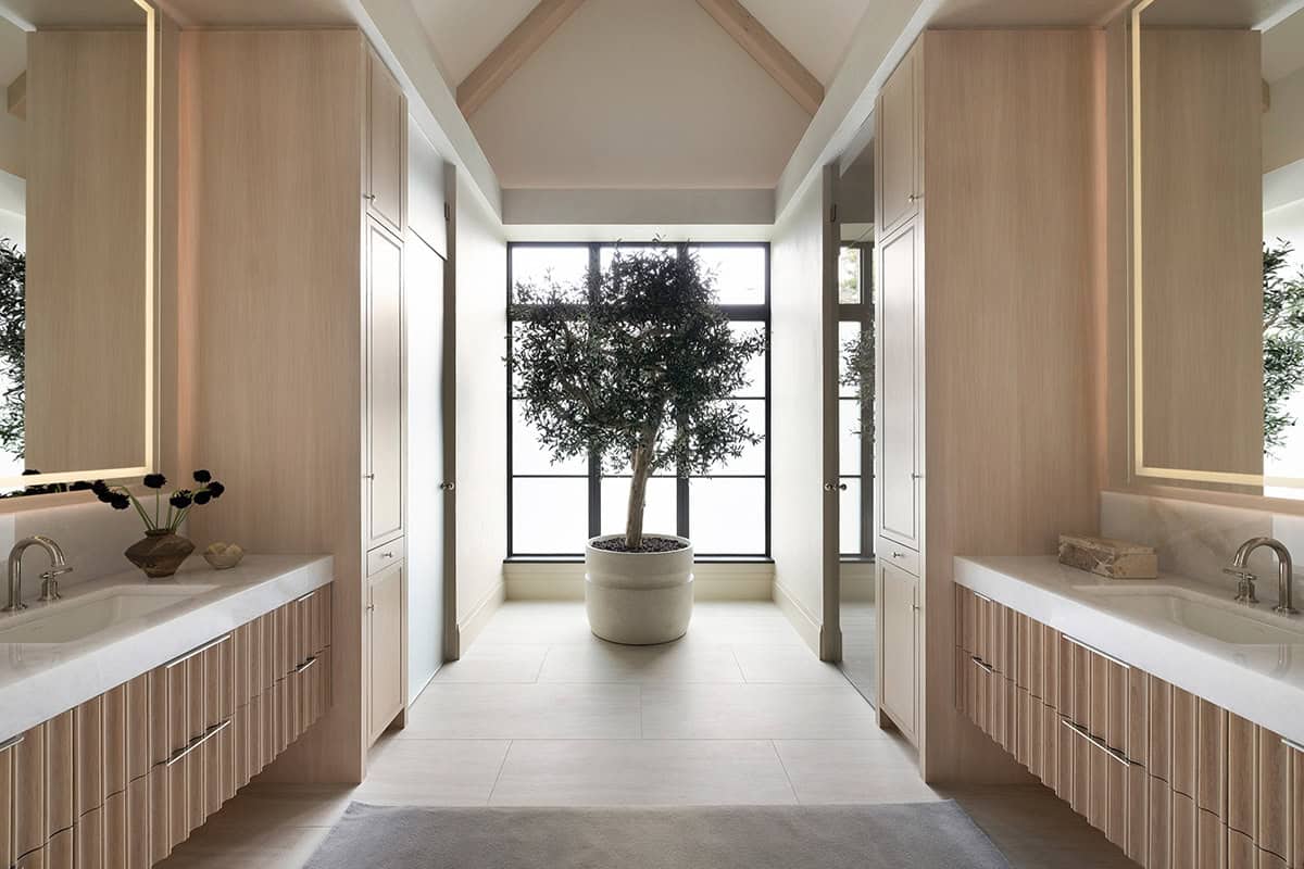 Primary bathroom vanity hallway with olive tree and steel window