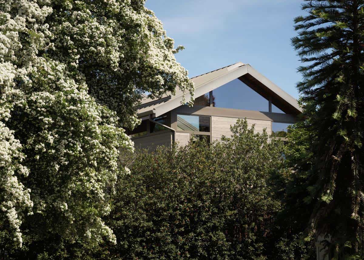 Gabled rooftop addition rising above blooming trees and evergreens