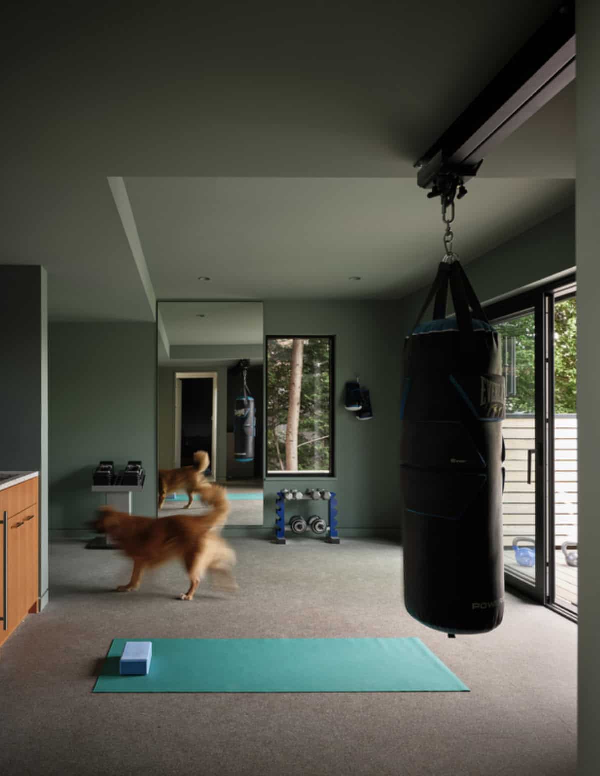 Home gym with punching bag, yoga mat, and dogs