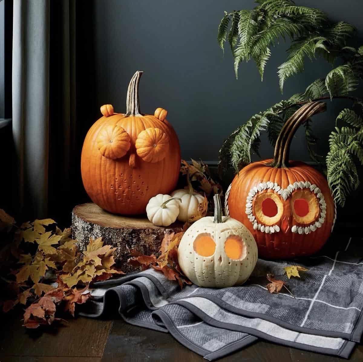 Three owl pumpkins with mini pumpkin eyes, seed-ringed cut-out eyes, and a white pumpkin with drilled dots