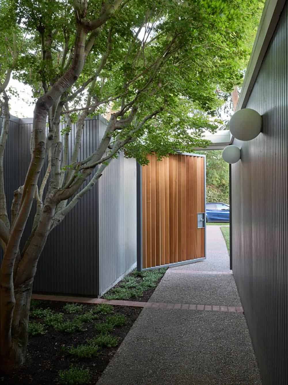 View from the atrium past a multi-trunk tree and the open cedar slat gate toward the street, with globe wall lights on gray siding