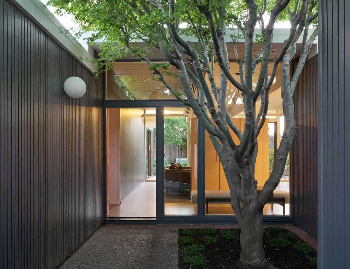 Entry atrium with a multi-trunk tree in a planting bed in front of a floor-to-ceiling glass wall looking into the living space