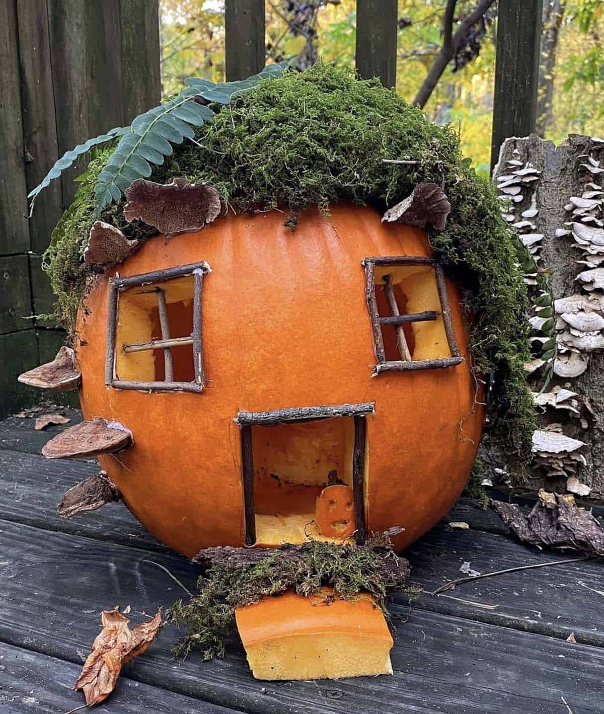 orange fairy house pumpkin with moss roof, fern, shelf mushrooms, twig-framed windows, and a mini jack-o’-lantern in the doorway