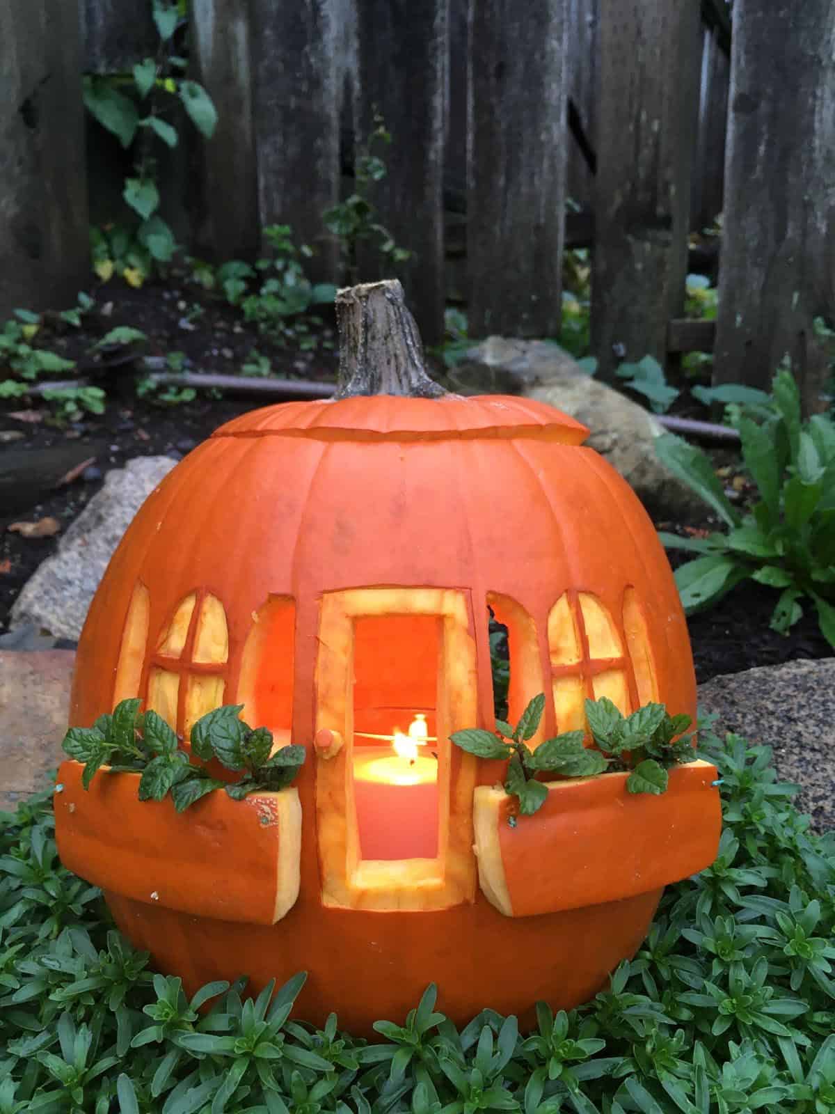 jack-o'-lantern with open shutters, front door, and window boxes filled with fresh mint