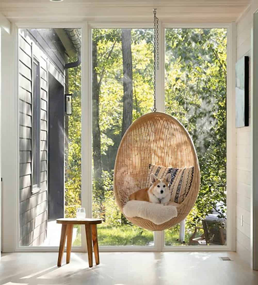 Hanging rattan egg chair with a corgi on a sheepskin, set in a corner of floor-to-ceiling windows to the woods
