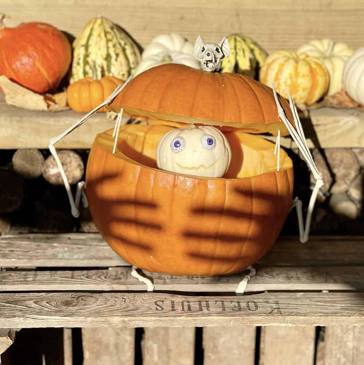 large pumpkin with its lid propped open on skewers, a smiling white mini pumpkin with googly eyes inside and a skeleton bat wrapped around it