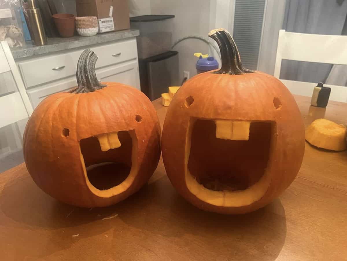 two pumpkins with tiny dot eyes and huge open mouths with two big buck teeth