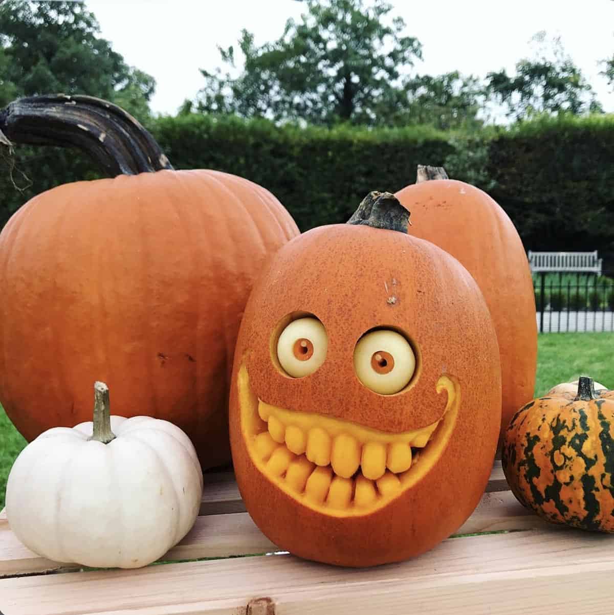 jack-o'-lantern with a huge toothy grin and peeled potato eyeballs with carrot pupils, sitting among white and striped pumpkins