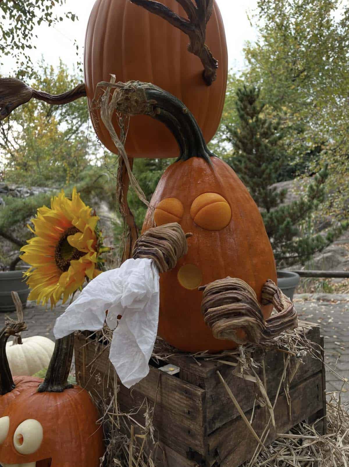pumpkin with squeezed-shut eyes and a small round mouth, holding a tissue to its face with twisted vine arms, mid-sneeze