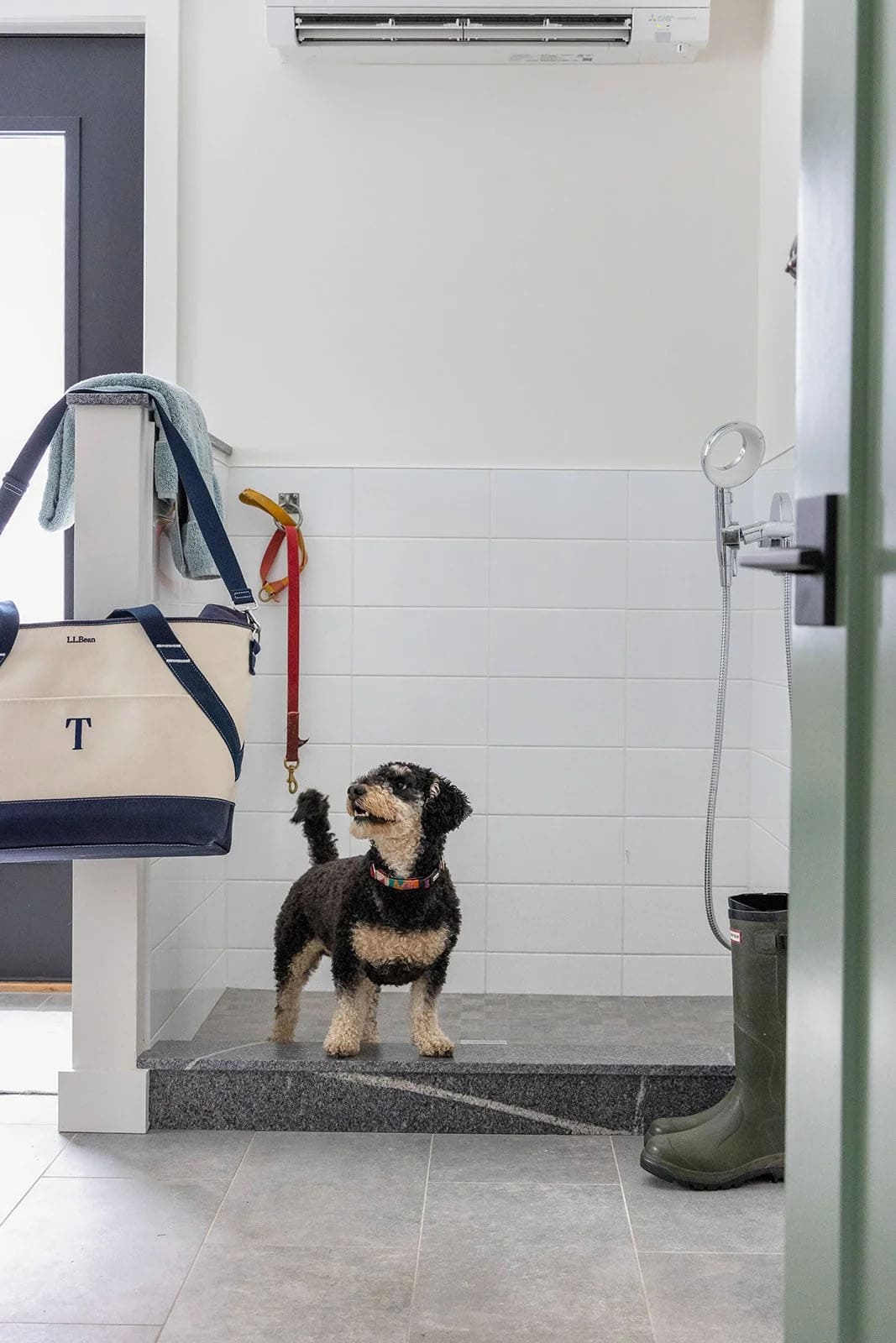 Mudroom dog wash station with white tile, a handheld sprayer, a granite step and a small dog