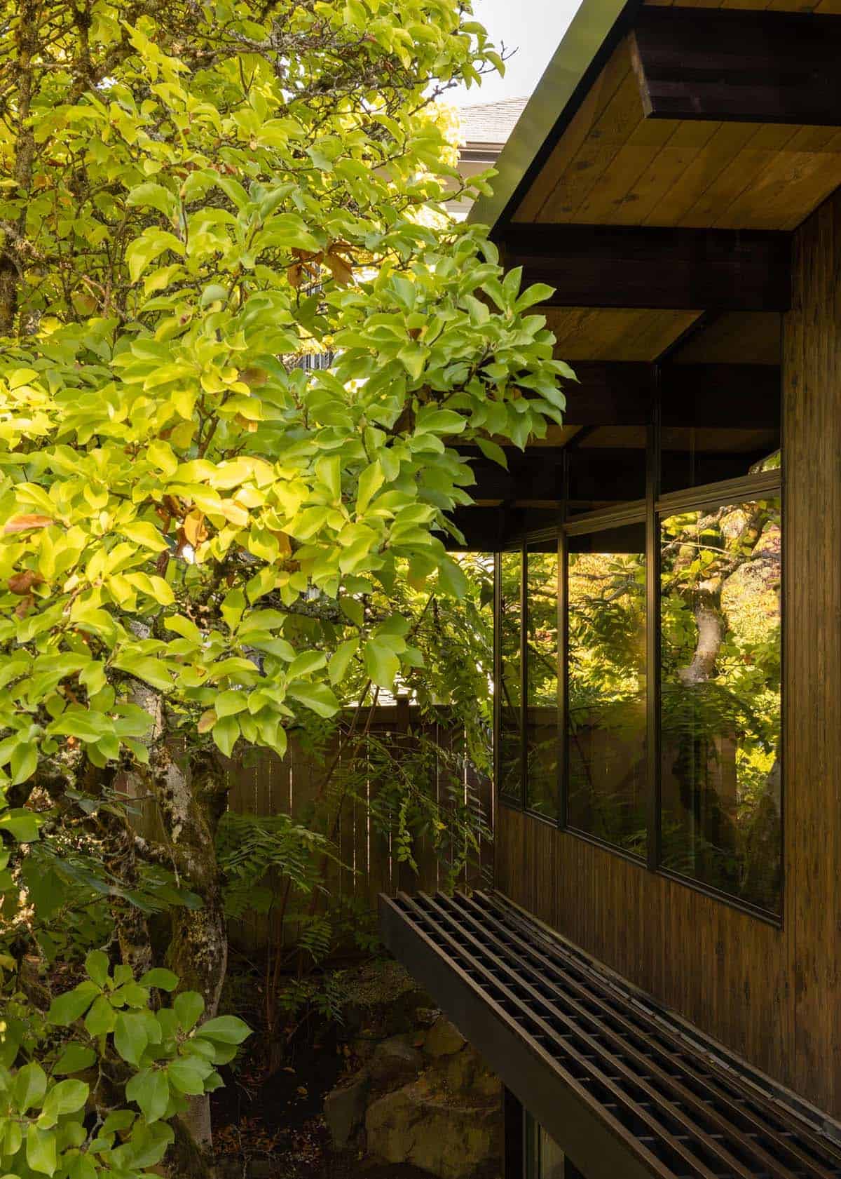 Side of home with black-framed windows, cedar siding, and magnolia tree