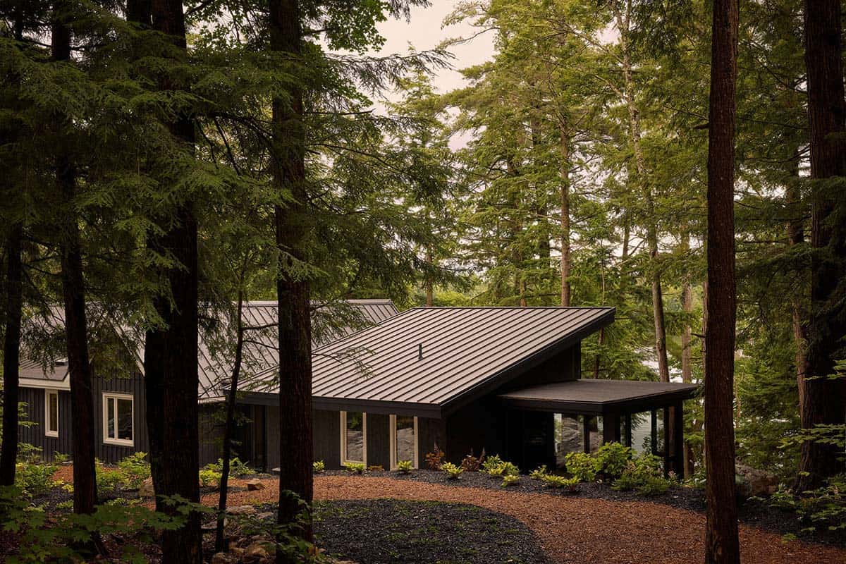 Cottage rooflines glimpsed through tall forest trees