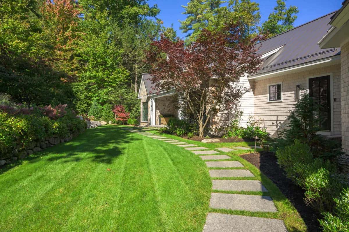 Curving lawn and stepping-stone walkway leading to the covered entry, with a red Japanese maple