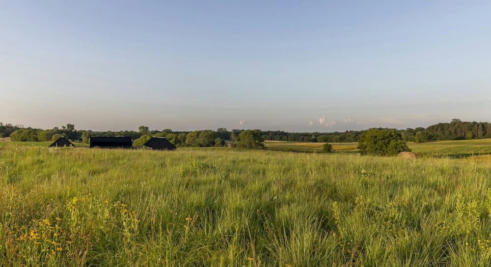 Wide golden-hour view of tall prairie grass with the dark rooftops of the home barely visible near a distant line of trees