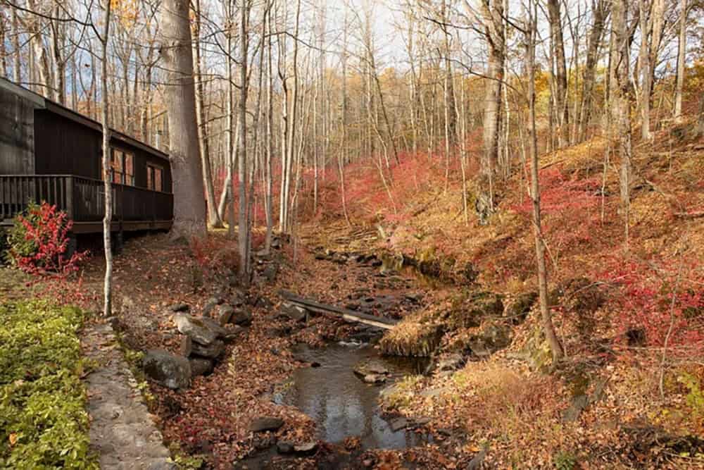 Creek running through a hillside of red shrubs, with the cabin's deck at left