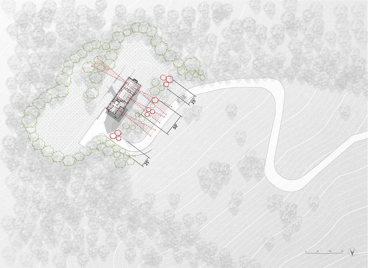 Site plan diagram showing view corridors cut through the trees