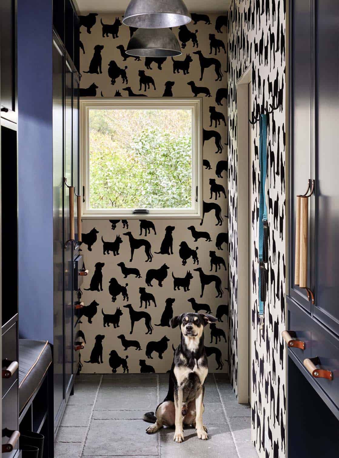 Dog sitting in a mudroom with navy cabinets, leather pulls and black dog-silhouette wallpaper