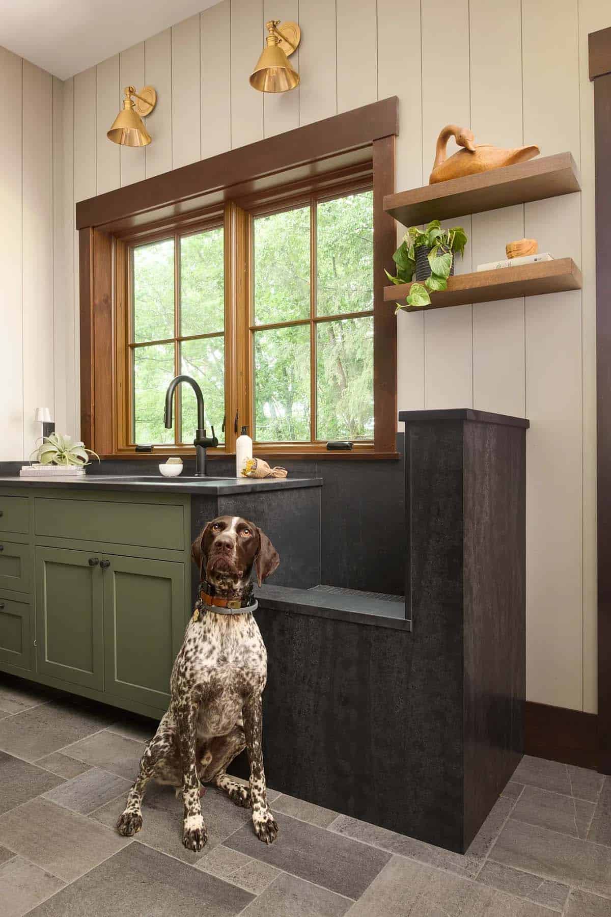 German shorthaired pointer sitting beside a black stone dog wash station next to a green sink cabinet, brass sconces and wood shelves