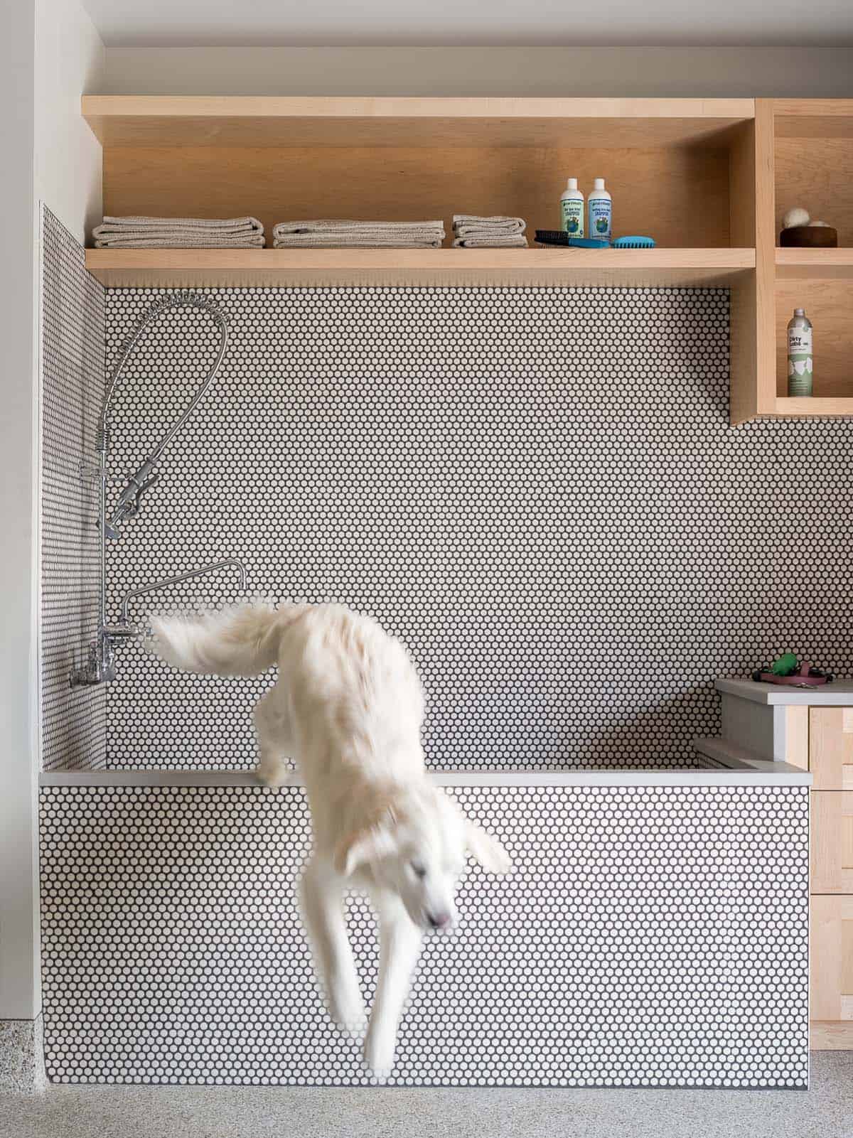 Penny-tiled dog wash station with sprayer and open shelves